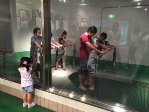 写真 2016-06-18 14 17 14